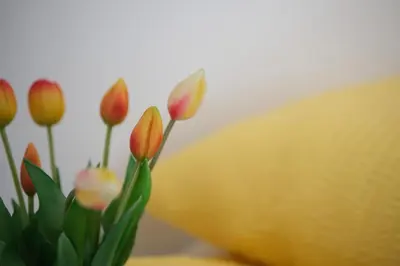 a bunch of flowers in a vase on a table at Apartma Eva in Krško