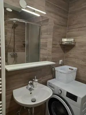 a bathroom with a washing machine and a sink at Apartma Melita in Rovte