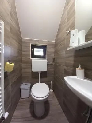 a bathroom with a toilet and a sink at Apartma Melita in Rovte