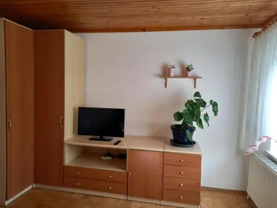 a room with a desk with a television and a plant at Apartma Melita in Rovte