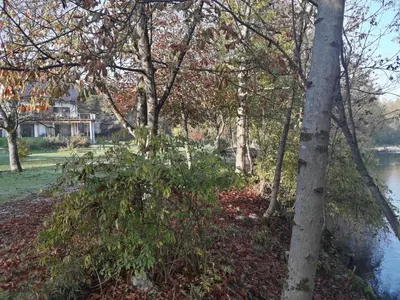a group of trees and a body of water at PR`FIK Apartments in Kranj