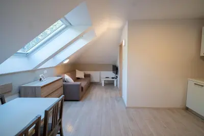 a loft conversion with a couch and a skylight at Vila Vesna in Zgornje Gorje