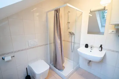 a bathroom with a sink and a toilet and a shower at Vila Vesna in Zgornje Gorje
