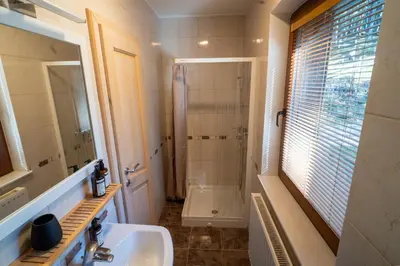 a bathroom with a sink and a shower at Vila Vesna in Zgornje Gorje
