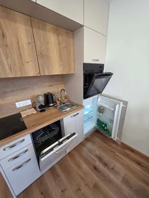a small kitchen with a sink and a refrigerator at Vila Brod in Ljubljana