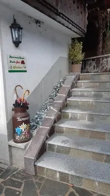 a set of stairs with a potted plant on it at Apartment Tarman in Jesenice