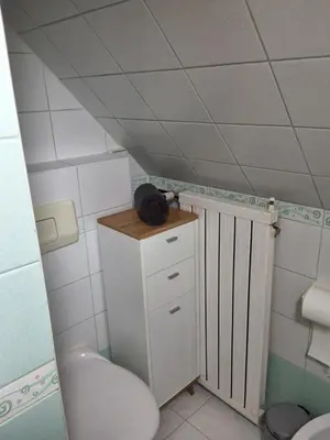 a small bathroom with a toilet and a sink at Turistična kmetija Sušek in Muta