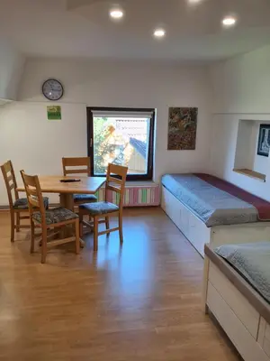 a bedroom with a bed and a table and chairs at Turistična kmetija Sušek in Muta