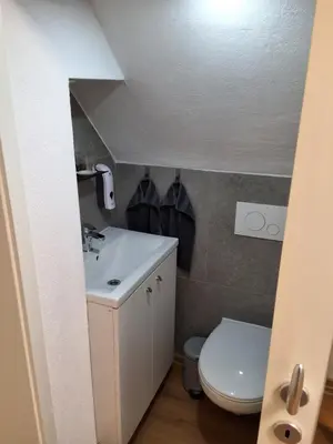 a small bathroom with a sink and a toilet at Turistična kmetija Sušek in Muta