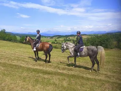 two people riding on horses in a field at Cosy house Na Robu in Grgar
