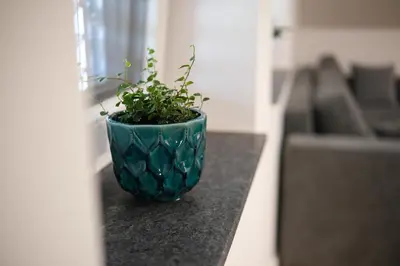 a green vase sitting on a counter with a plant at Apartma Ana in Krško