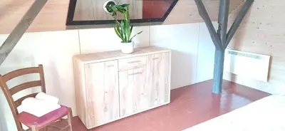 a plant sitting on top of a cabinet in a room at House Planinka in the heart of nature in Ljubno