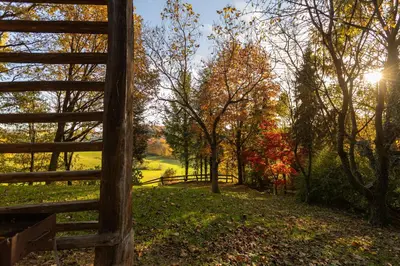 a wooden fence in a field with trees at Hiša Jaglenka in Ponikva