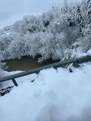 a view of a river and trees covered in snow at Ekoviki in Kranj