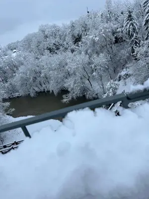 a snow covered view of a river and trees at Ekoviki in Kranj