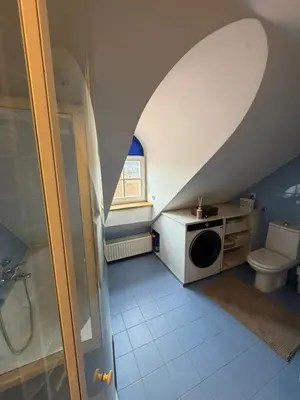 an attic bathroom with a toilet and a sink at Ekoviki in Kranj