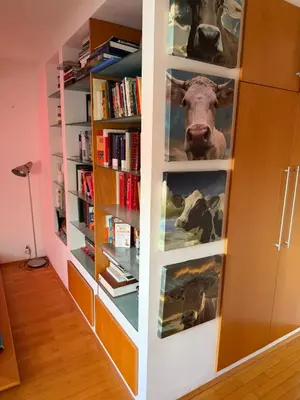a book shelf with a picture of a cow on it at Ekoviki in Kranj