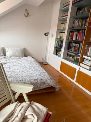 a bedroom with a bed and a chair and bookshelves at Ekoviki in Kranj