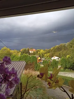 a window with a view of a yard with purple flowers at Apartmaji Divji vrt in Lendava
