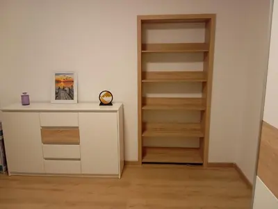 a room with a book shelf and a white cabinet at Apartmaji Divji vrt in Lendava