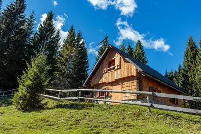a wooden cabin on a hill with trees at Mountain lodge Pokljuka in Bohinjska Bistrica
