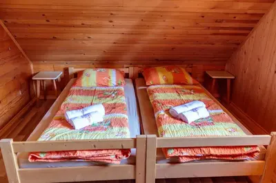 two beds in a cabin with wooden walls at Mountain lodge Pokljuka in Bohinjska Bistrica