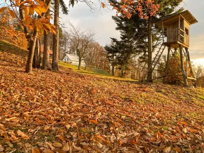 a bird house sitting on top of a pile of leaves at KOČA ODMEV Obolno in Ivančna Gorica