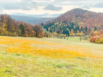 a grassy field with trees and mountains in the background at KOČA ODMEV Obolno in Ivančna Gorica