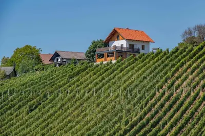 a vineyard with a house on top of a hill at Holiday home in Trzisce - Kranjska (Krain) 54981