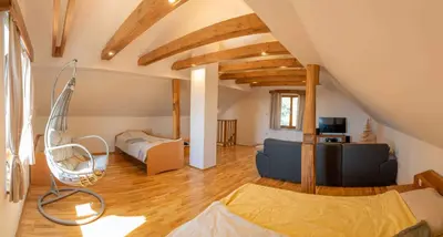 a living room with a bed and a couch at Holiday home in Trzisce - Kranjska (Krain) 54981