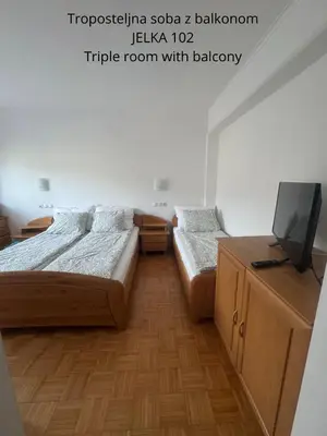 a room with two beds and a tv in it at Cozy Nook Stays, Ski rent, med Roglo in Termami Zreče, in Zreče