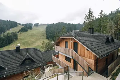 an aerial view of a house with a roof at Apartma JOŠT GOLTE in Mozirje