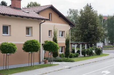 a house with trees on the side of the road at Guest House Tri Zvezde in Kočevje