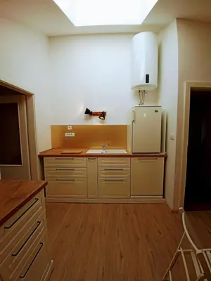 a kitchen with a sink and a refrigerator at House Godec in Ljubljana