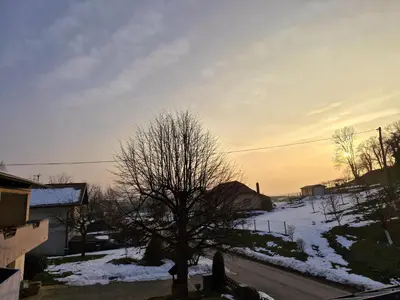 a tree in a yard with snow on the ground at Apartment Doroteja in Podplat