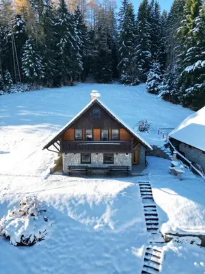 a log cabin in the snow with trees at Private Forest Cabin with Epic View in Ribnica na Pohorju