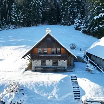 Private Forest Cabin with Epic View