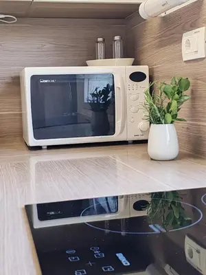 a microwave sitting on a counter in a kitchen at EMIA Family House Čatež in Brežice