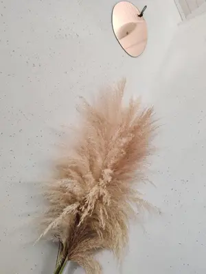 a feathery item on a table with a mirror at EMIA Family House Čatež in Brežice
