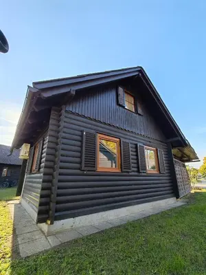 a cabin with a black siding and windows at EMIA Family House Čatež in Brežice