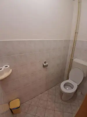 a bathroom with a toilet and a sink at Tau Forest Lodge in Solkan