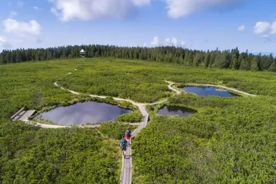 two people walking on a wooden path through a field with two ponds at Apartma Roglina in Zreče
