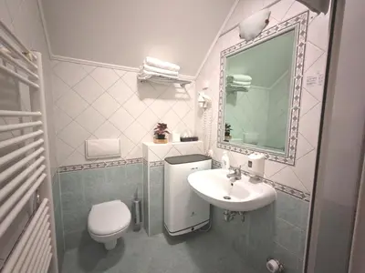 a bathroom with a sink and a toilet and a mirror at Apartma Roglina in Zreče