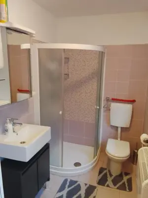 a bathroom with a shower and a toilet and a sink at Julijana's Holiday Home in Brežice