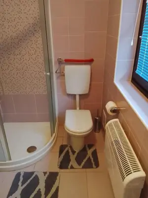 a small bathroom with a toilet and a shower at Julijana's Holiday Home in Brežice
