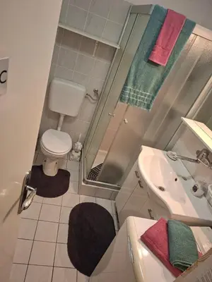 a small bathroom with a toilet and a sink at Aca's & Lidija's Thermal Hideaway Čatež-Tickets included-min 2 nights in Brežice