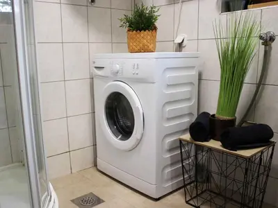 a washing machine in a bathroom with potted plants at Holiday Home with A - C in Zgornji Leskovec 54833 in Zgornji Leskovec