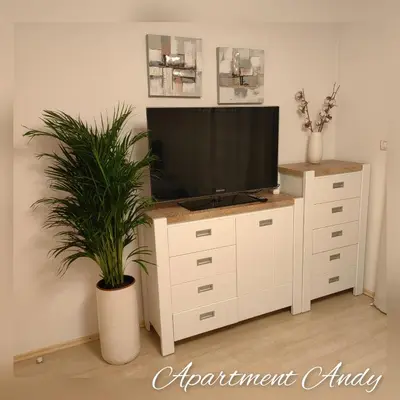 a tv on top of a dresser with a plant at Apartment Andy in Medvode