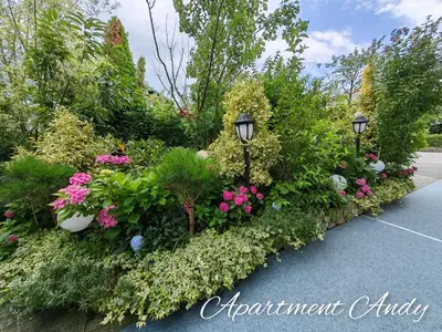 a row of flowers and plants on a street at Apartment Andy in Medvode
