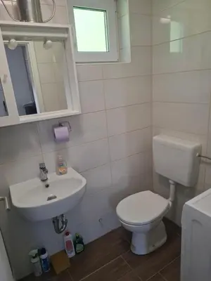 a bathroom with a white toilet and a sink at Apartma Dividenda in Ptuj
